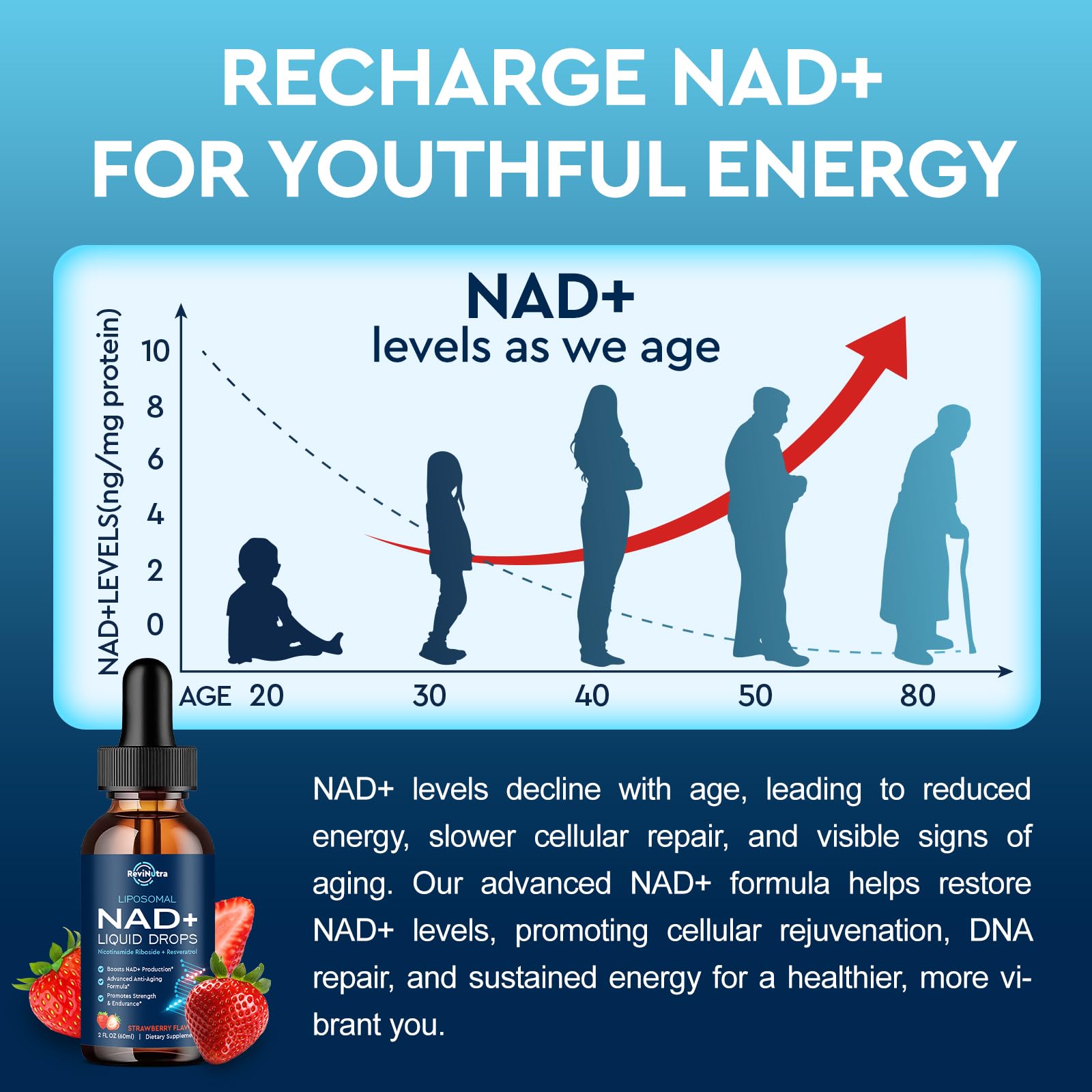 Biogenèse mitochondriale et fonctions cérébrales avec NAD liposomal.