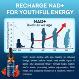 Biogenèse mitochondriale et fonctions cérébrales avec NAD liposomal.