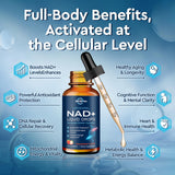Effet sur l’énergie cellulaire avec le NAD liposomal ReviNutra.