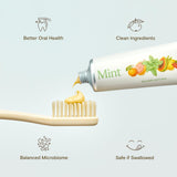 Revitin dentifrice prébiotique menthe – emballage propre, sans fluorure pour gencives sensibles.