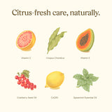 Revitin dentifrice prébiotique menthe – sans colorants et sans édulcorants artificiels.