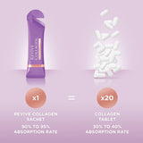 Revive Collagen Menopause fibre chicorée soutient digestion et bien-être intestinal.