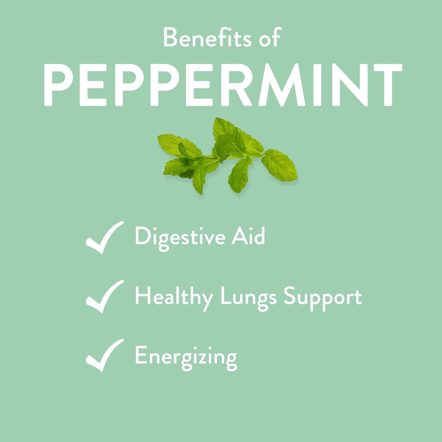 Menthe Poivrée Revive Essential Oils, massage détente avec huile essentielle diluée.