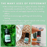 Menthe Poivrée Revive Essential Oils, soin peau et cheveux pour une sensation de fraîcheur.