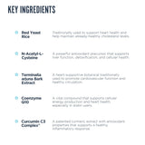 Revive MD CoQ10 et NAC: ingrédients clés pour un soutien énergétique potentiel.