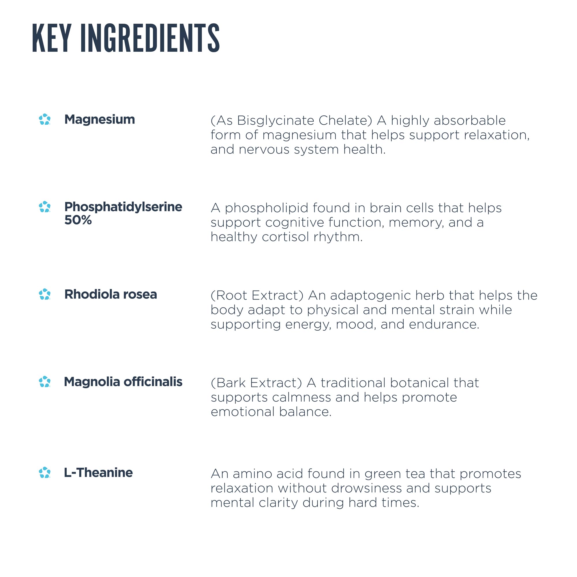 Revive MD Cortisol Manager – magnésium pour le sommeil et l'humeur