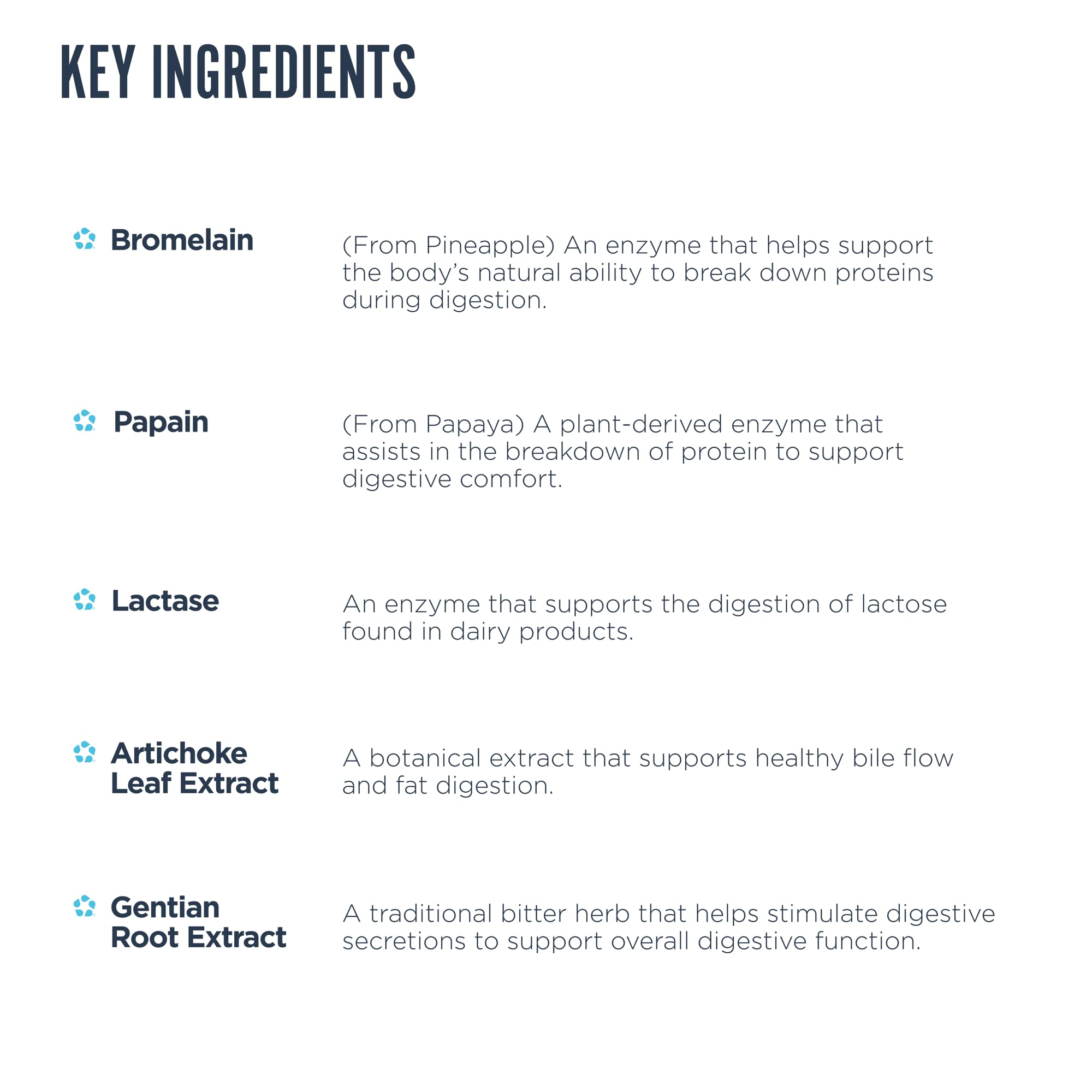 Revive MD Digest Aid, composition enrichie pour l absorption des nutriments