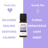 REVIVEEO huile lavande – diffusion agréable dans le diffuseur pour une ambiance calme