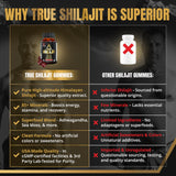 Gommes Shilajit Or Revolution Science, vivacité et endurance au quotidien.