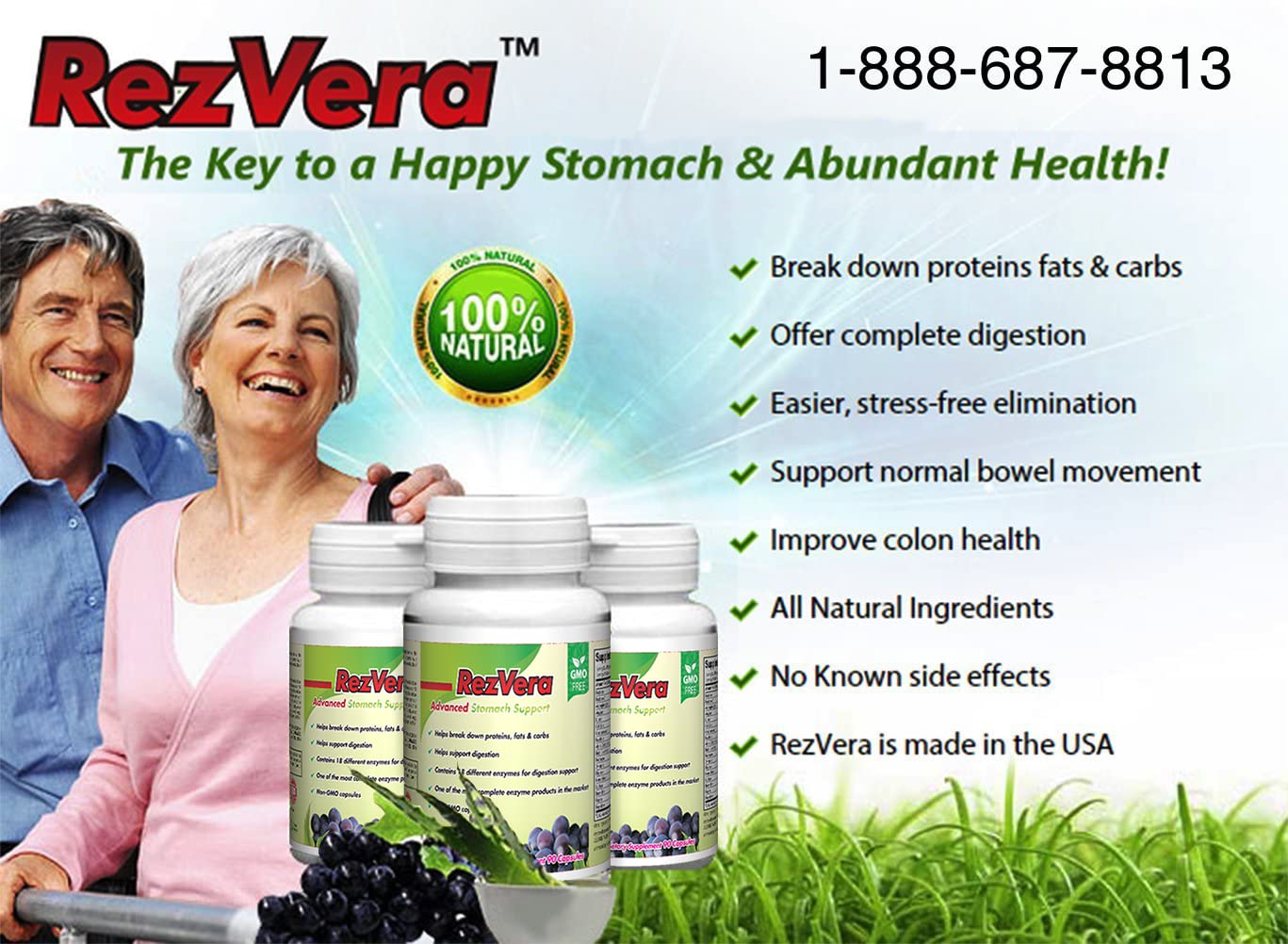 RezVera action digestion démontrant les enzymes facilitant une digestion équilibrée