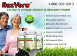 RezVera action digestion démontrant les enzymes facilitant une digestion équilibrée