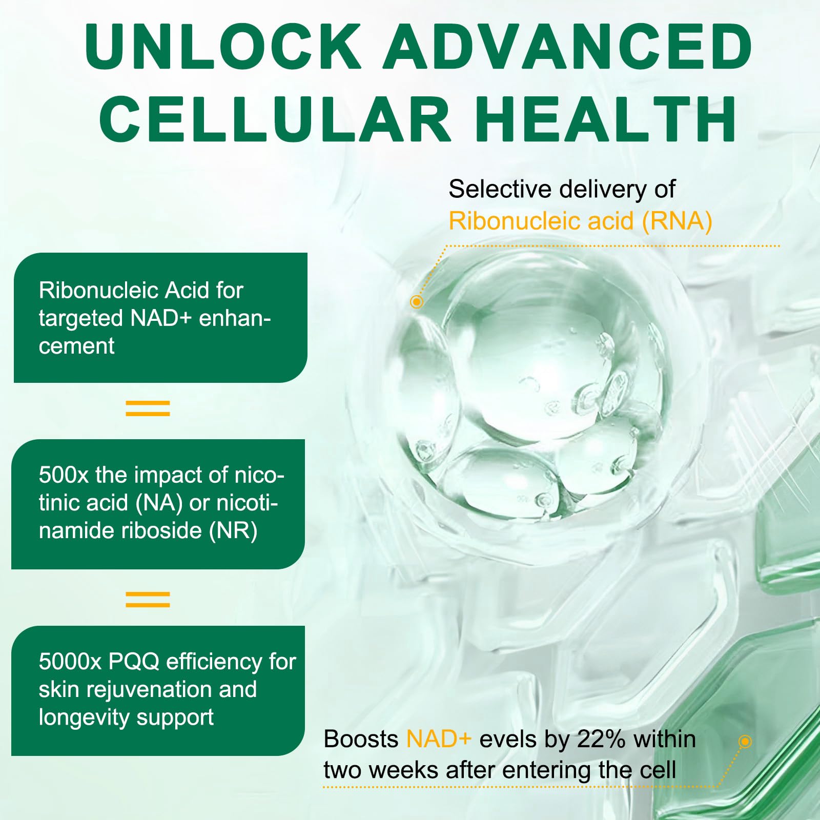 RHBESTOK NAD liposomale, capsules pour énergie soutenue et régénération cellulaire.