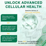 RHBESTOK NAD liposomale, capsules pour énergie soutenue et régénération cellulaire.
