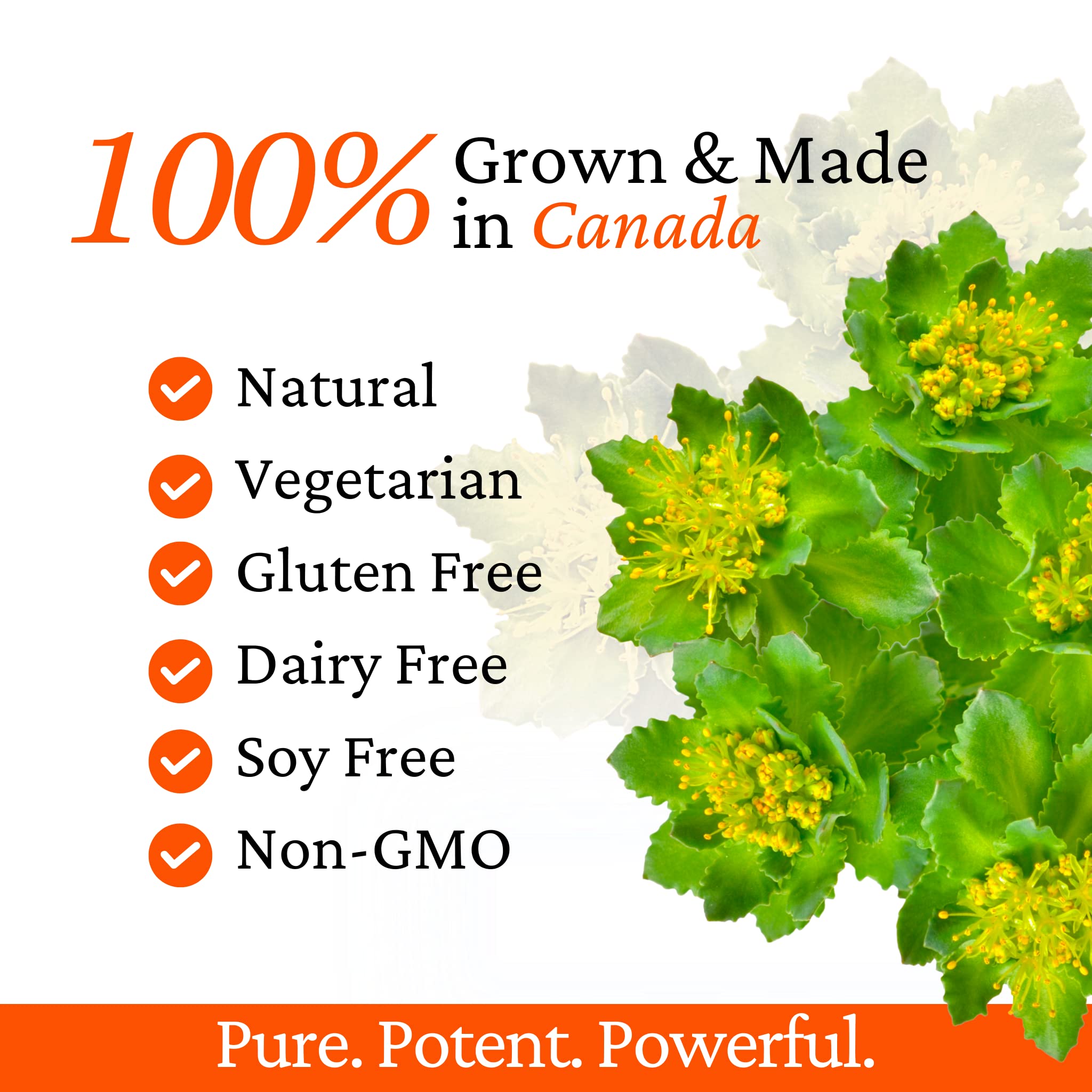 Rhoziva Digest : cardamome et épices soutenant une digestion douce.
