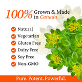 Rhoziva Digest : cardamome et épices soutenant une digestion douce.