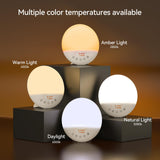 RICIAL Wake Up Light: reglages lumiere et temperature de couleur.