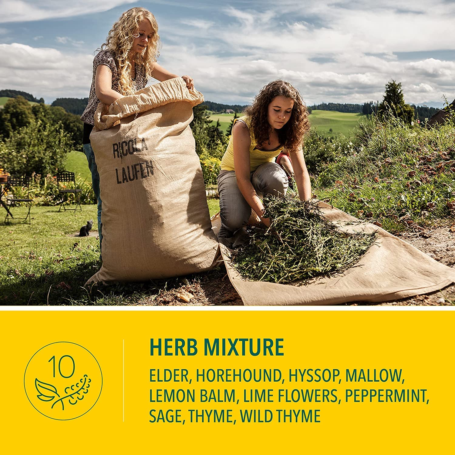 Herbes suisses Ricola, ensemble d’arômes, expérience gustative agréable.