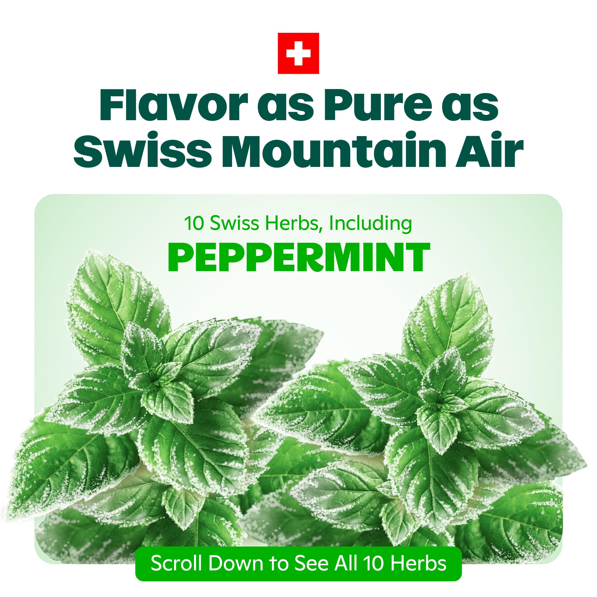 Ricola Max Herbes Alpines – mélange suisse d’herbes pour une respiration vivifiée.