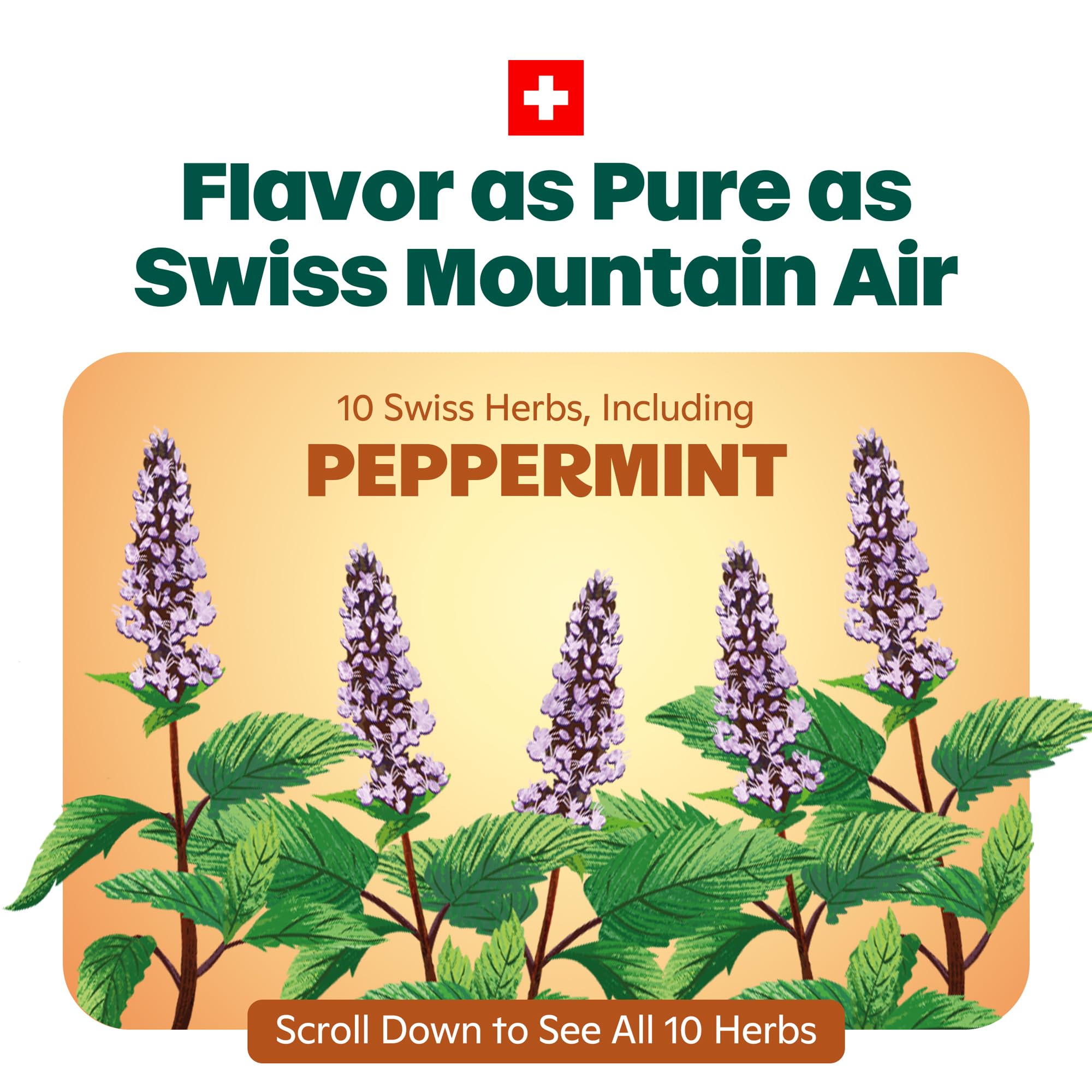 Gros plan sur les pastilles Ricola Miel et Herbes et menthol rafraîchissant