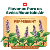 Gros plan sur les pastilles Ricola Miel et Herbes et menthol rafraîchissant