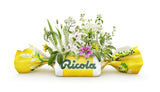 Détail des ingrédients à base de plantes Ricola miel citron échinacée.
