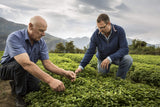 Utilisation quotidienne possible pour apaiser temporairement la gorge avec Ricola.