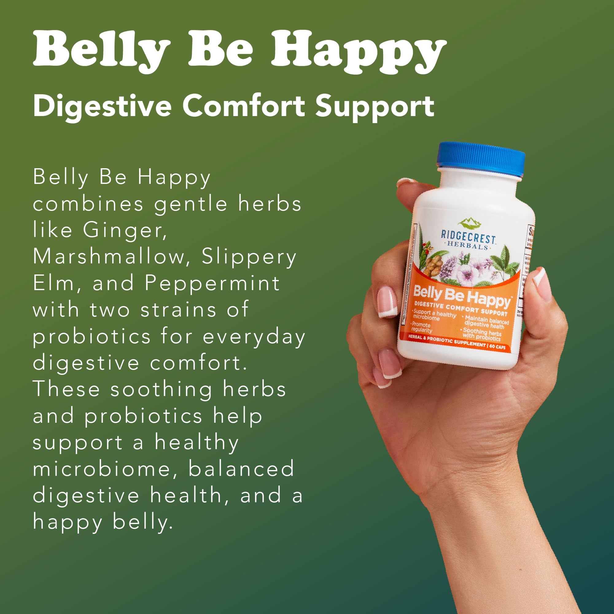 Utilisation quotidienne en déplacement avec RidgeCrest Belly Be Happy