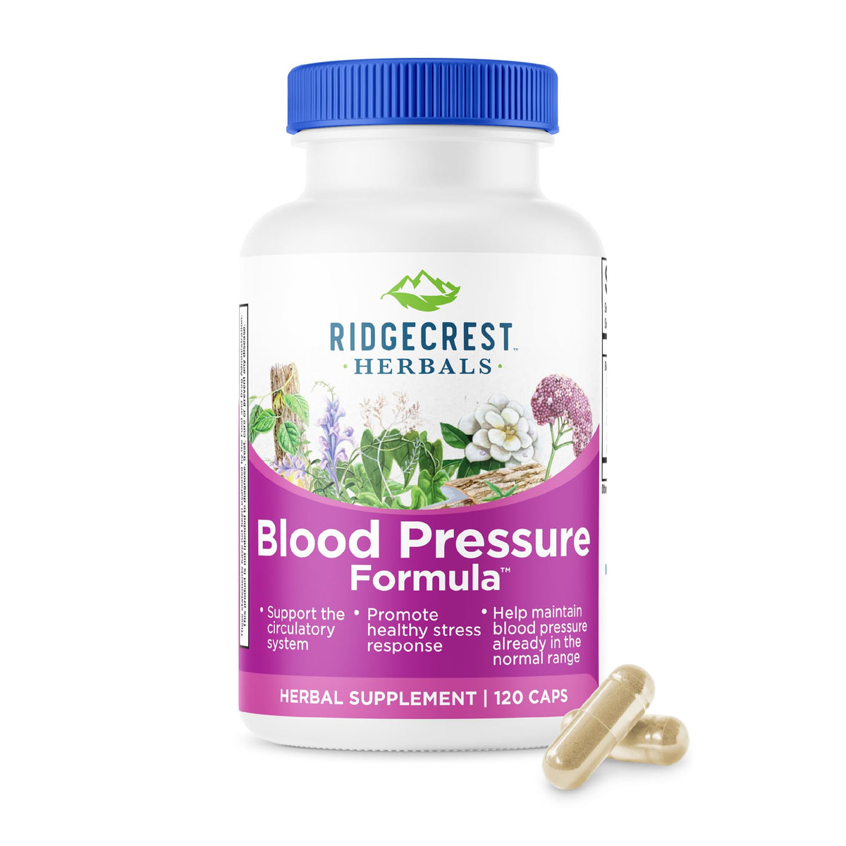 RidgeCrest Herbals: bouteille montrant la formule soutenant la circulation et le bien-être quotidien.