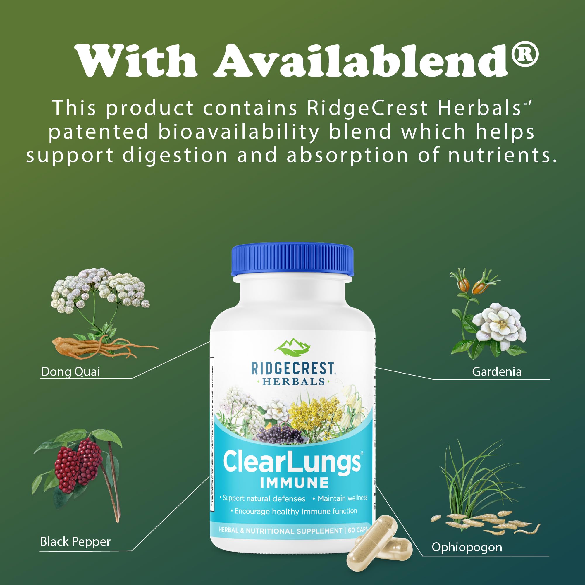 RidgeCrest ClearLungs Immune – Capsules végétales 60 : format pratique pour l’usage journalier