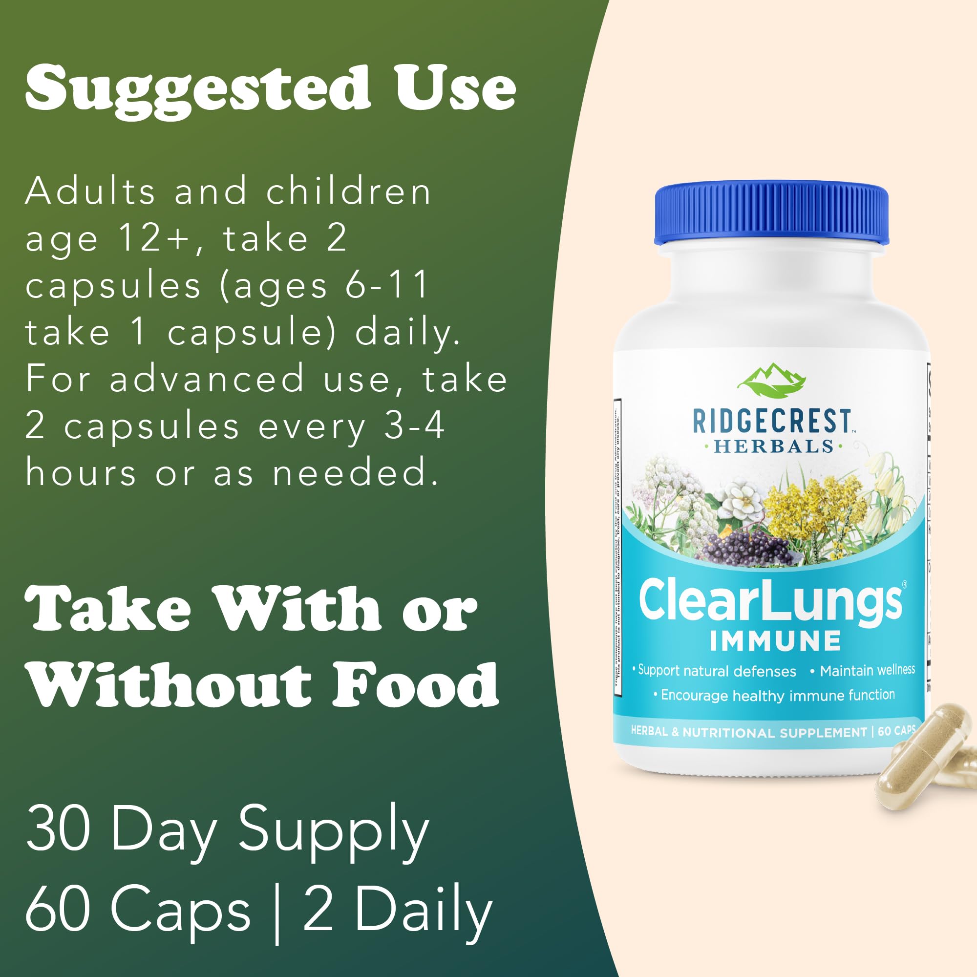 RidgeCrest ClearLungs Immune – Extrait-Andrographis : potentiel soutien pendant les périodes exigeantes