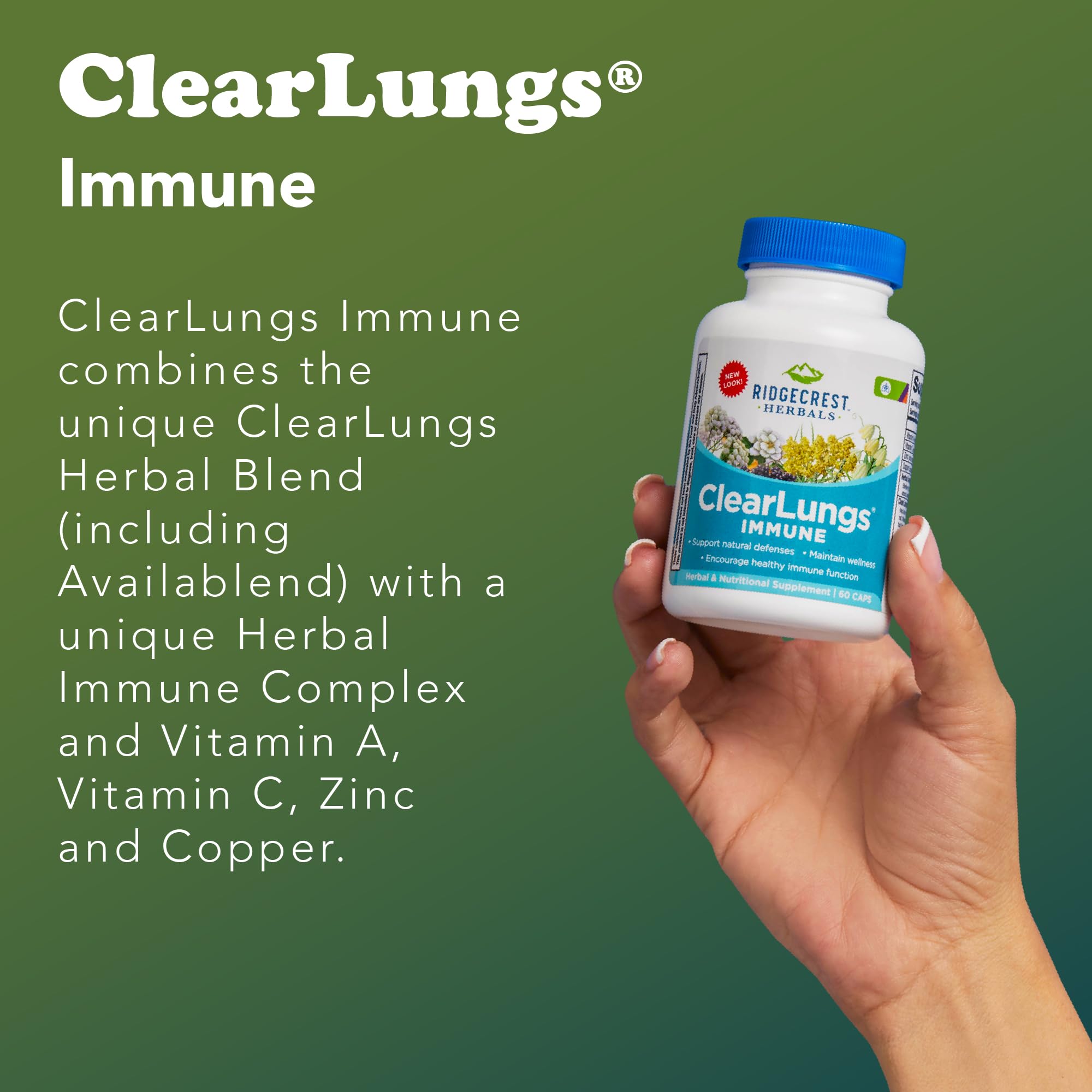 RidgeCrest ClearLungs Immune – Feuilles-Molène : richesse botanique pour le confort respiratoire