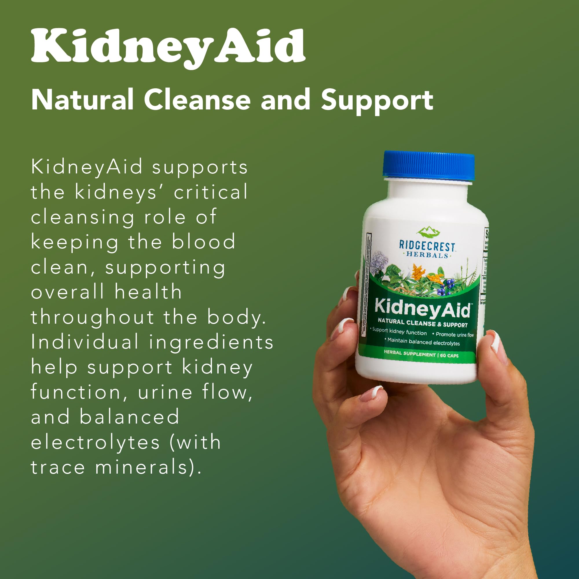 RidgeCrest KidneyAid: tableau de composition et minéraux traces bénéfiques.
