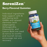 RidgeCrest SereniZen Gummies — GABA et L-Theanine pour une concentration détendue.