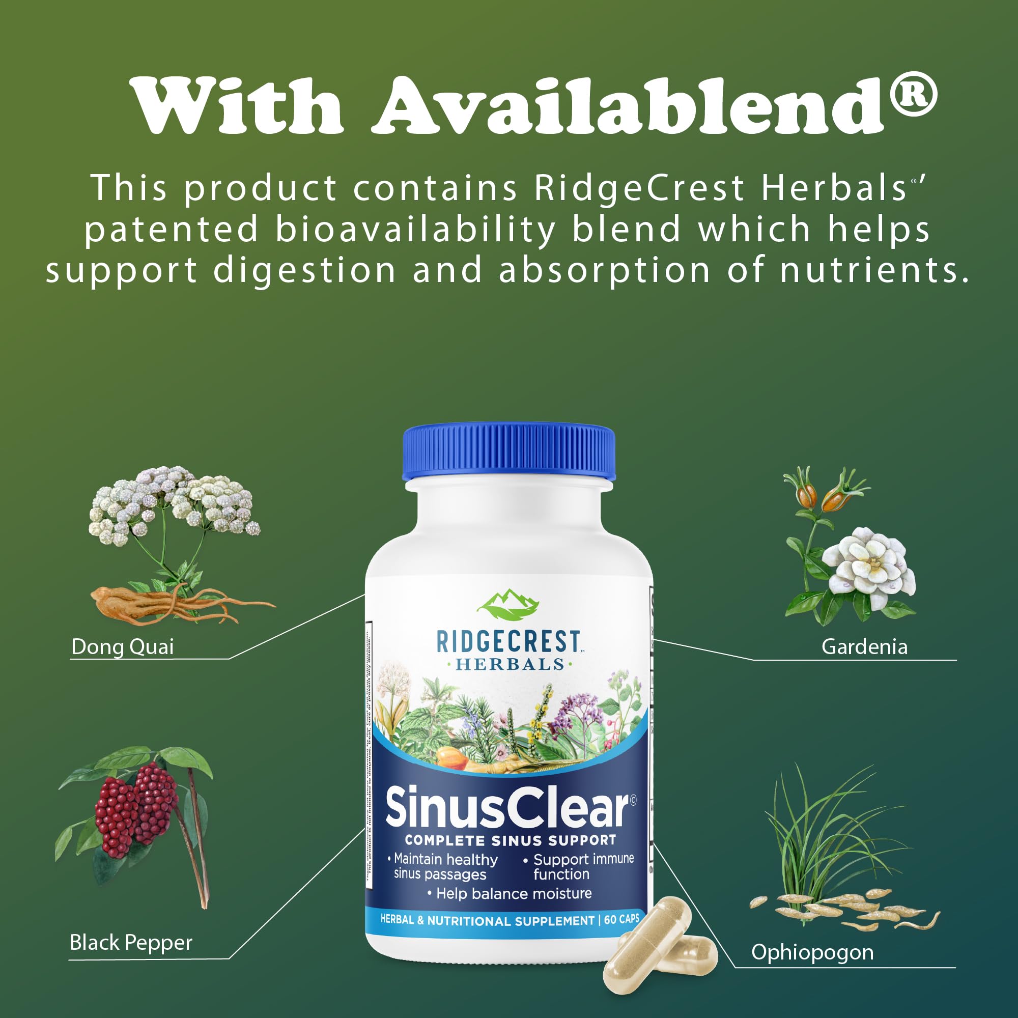 RidgeCrest SinusClear, sante-respiratoire: associe plantes et enzymes pour le confort des voies.