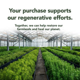 Rigma Herbal BEE : présentation du produit, routine bien-être quotidienne