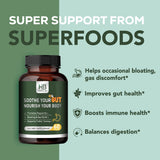 Rigma Herbal BEE : capsules digestives, soutien potentiel de la régularité