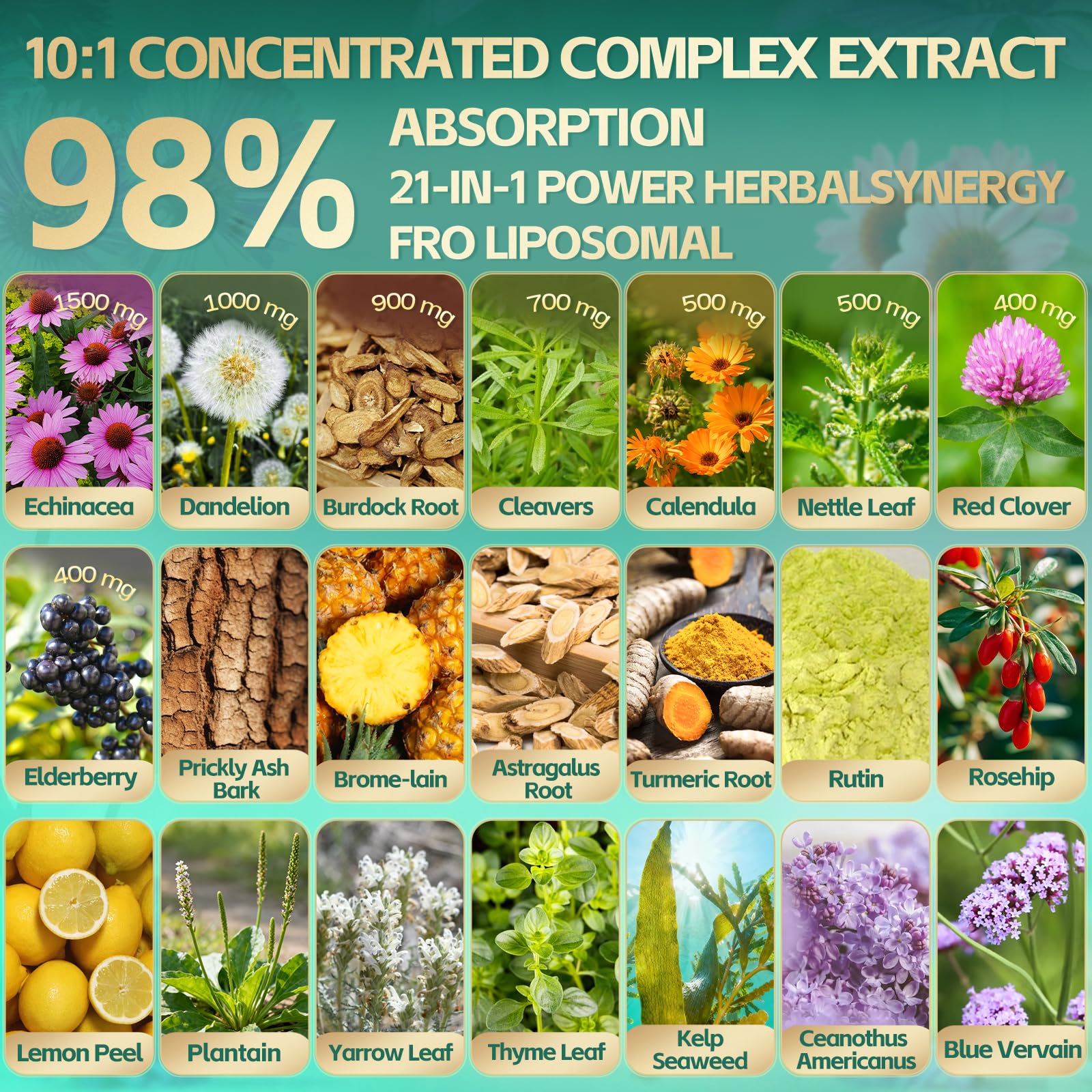 RiseLuxun echinacee-dandelion: ingrédients naturels pour le soutien global.
