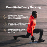 RNWY créatine monohydrate 5 g, soutien de l effort