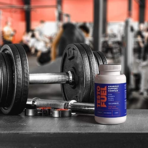 ROAR AMBITION TestoFuel, prise quotidienne recommandée dans une routine fitness