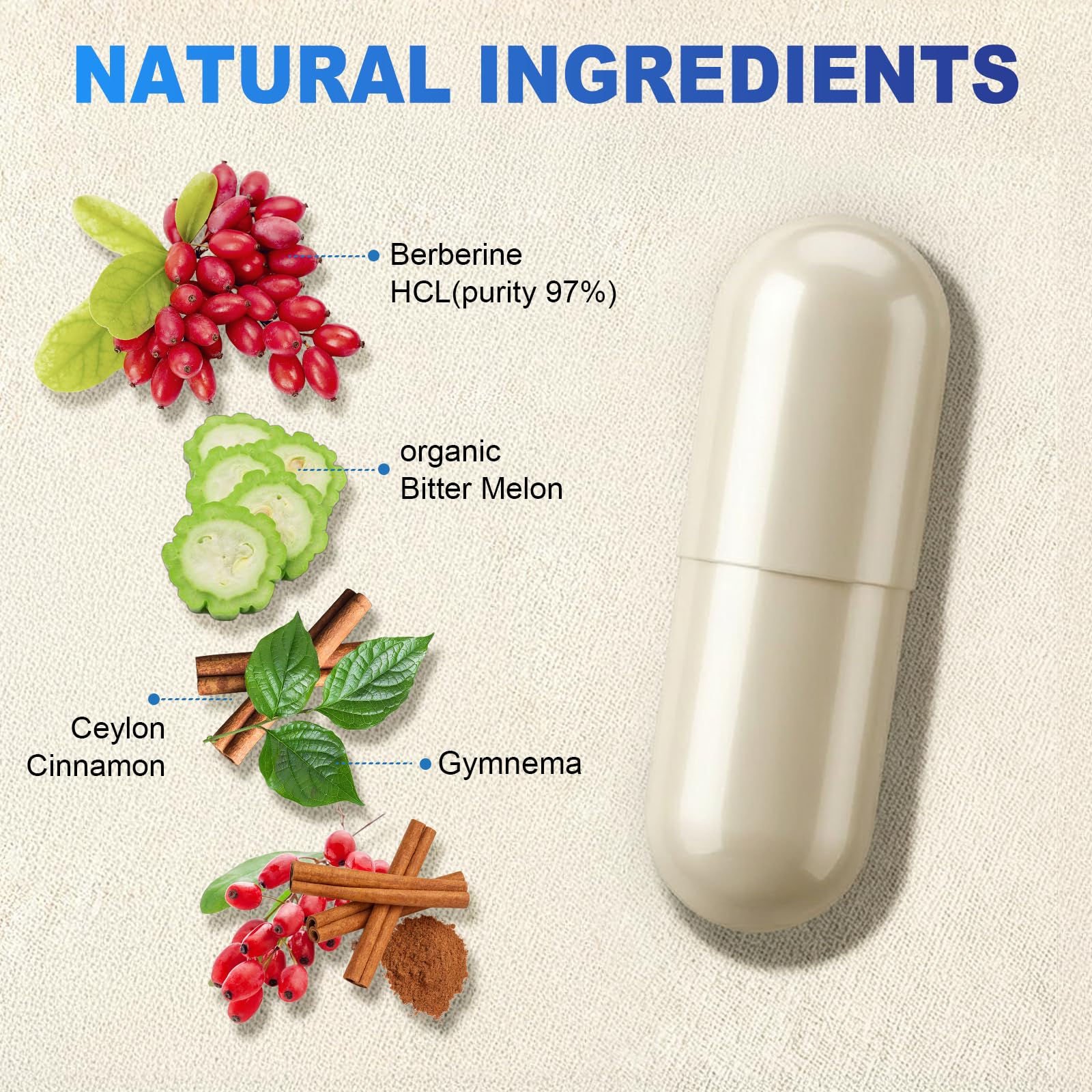 Rolphood Berberine – doseur inclus facilitant le dosage quotidien.