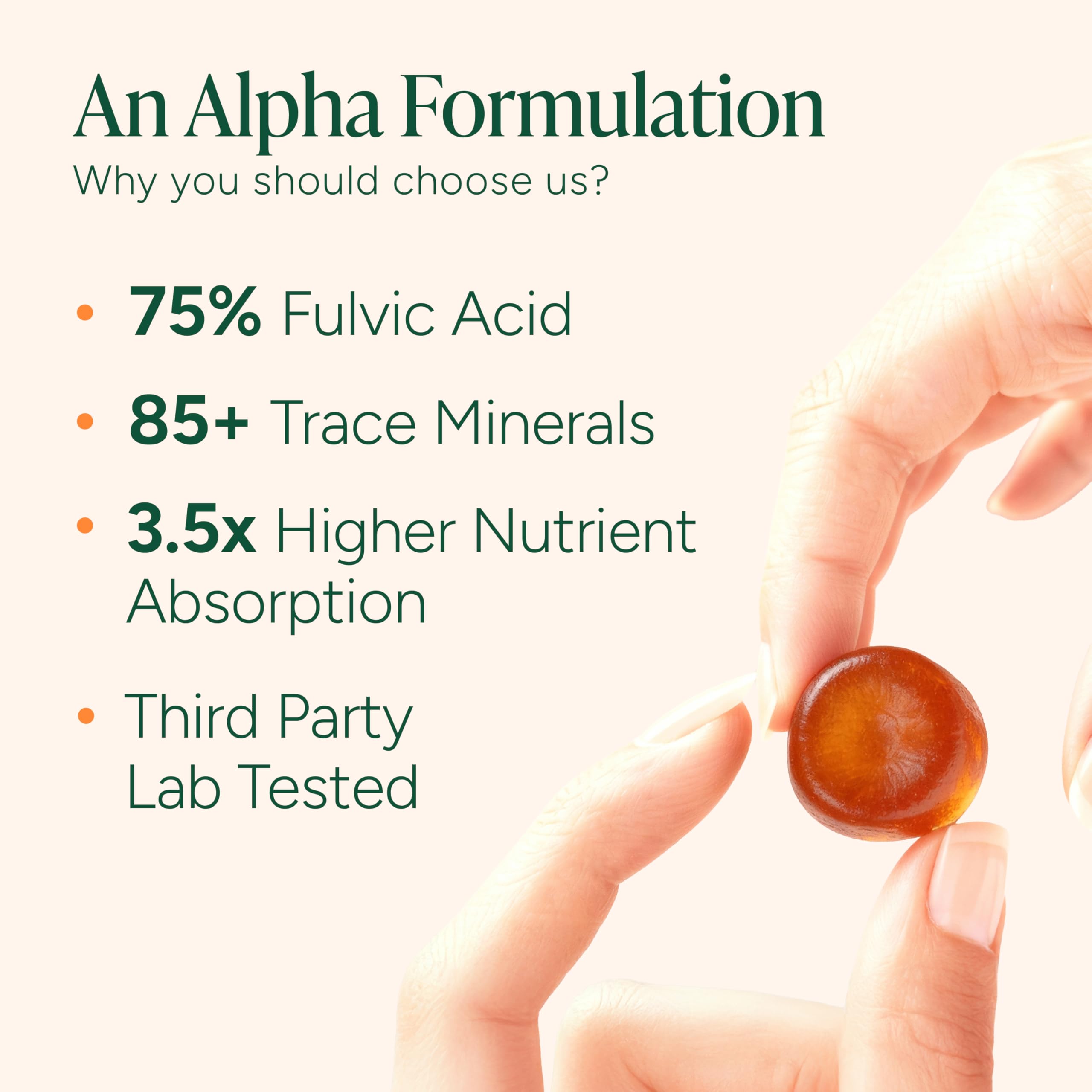 Texture gomme lisse de ROOT LABS Shilajit pour une prise facile.