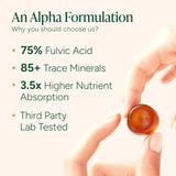 Texture gomme lisse de ROOT LABS Shilajit pour une prise facile.
