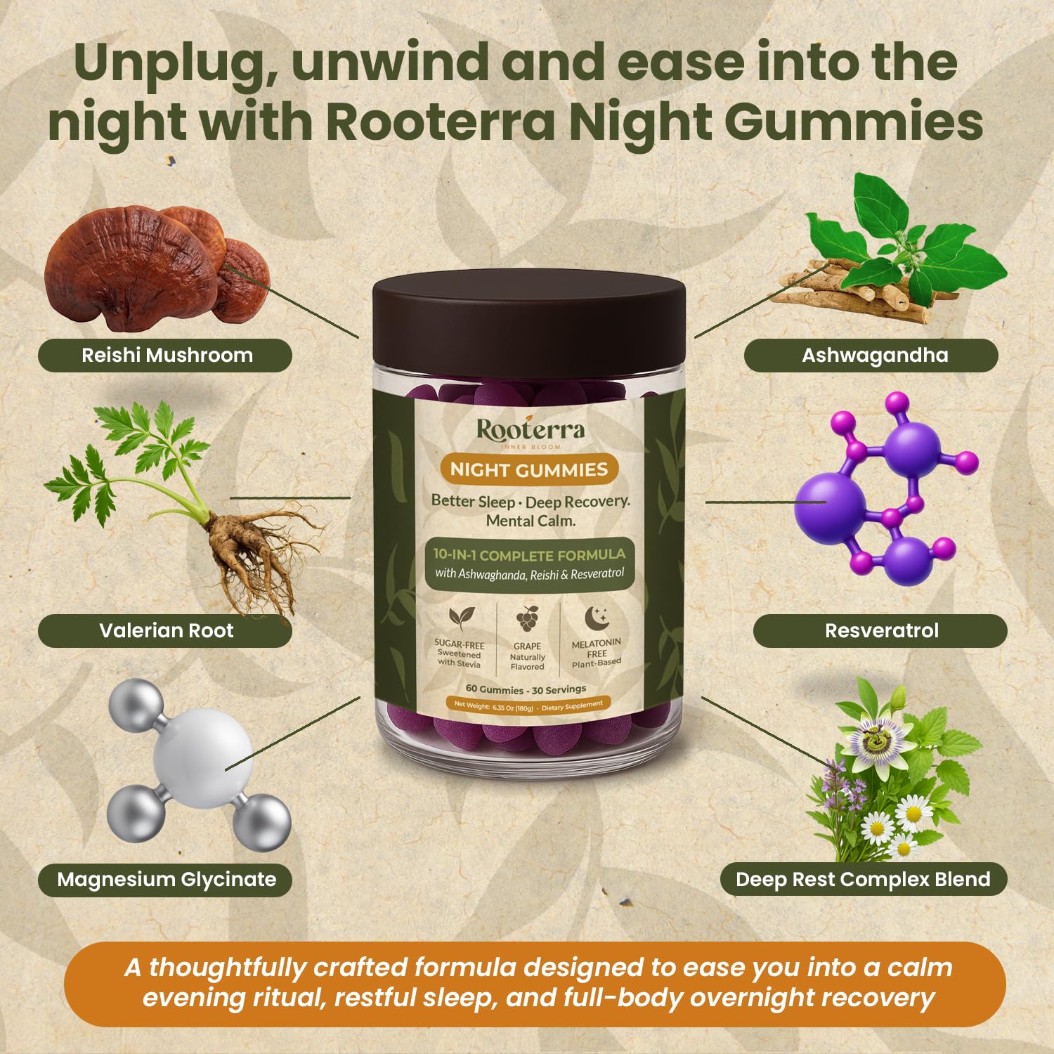 Rooterra Inner Bloom Night Gummies – emballage visible et routine nocturne.