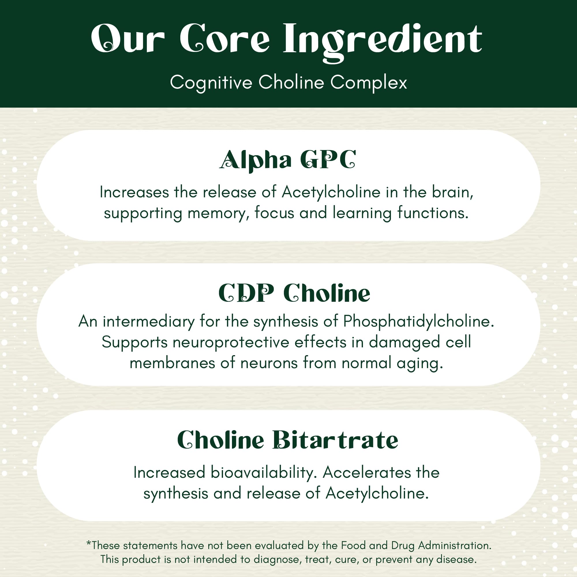Rootful Mind Alpha Focus: composition premium sans remplissage pour soutien cognitif.