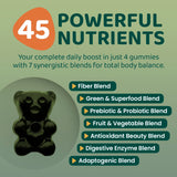 Gommes ROOTI avec criniere-de-lion, fusion adaptogène pour concentration.