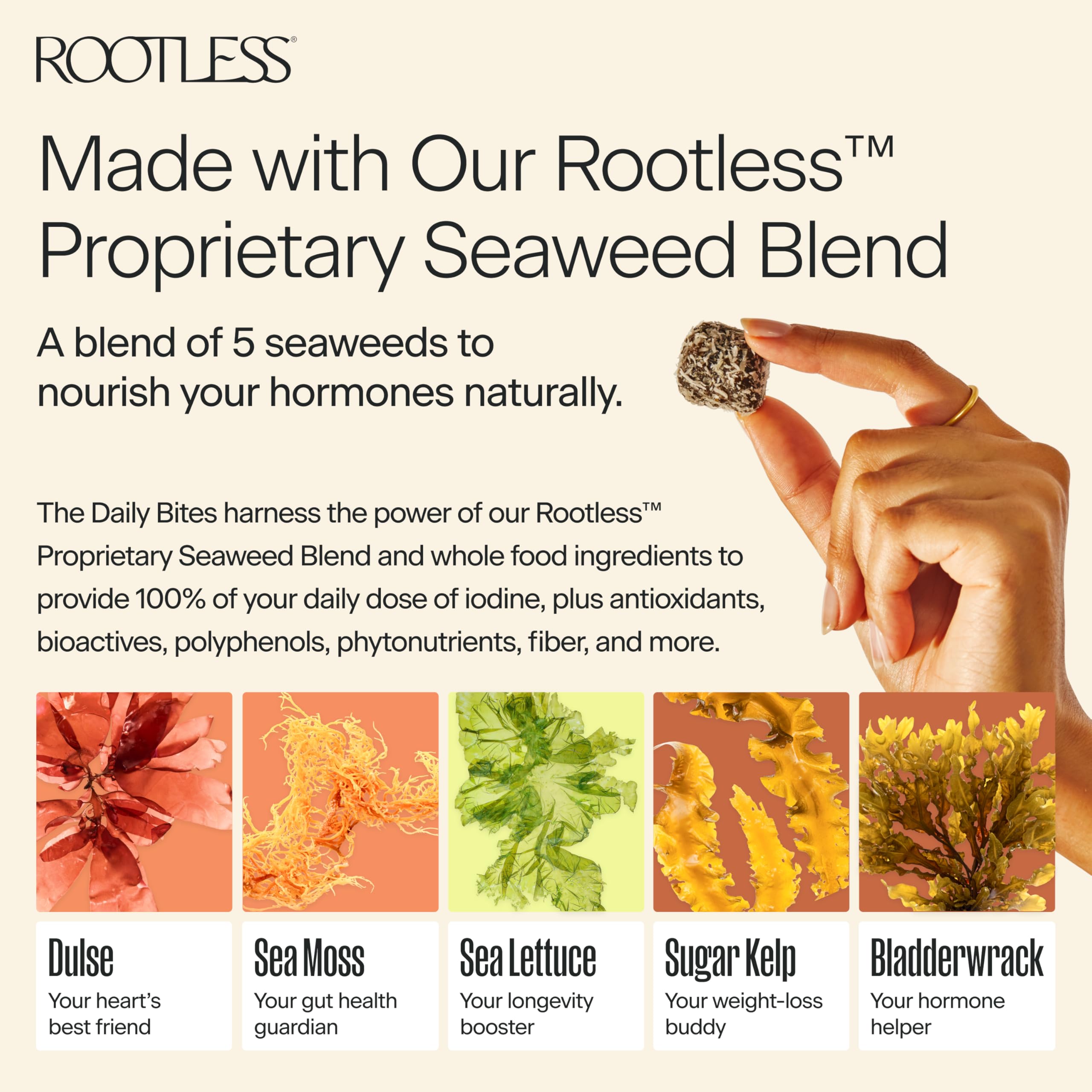 Rootless emballage durable vegan, sans sucre ajouté