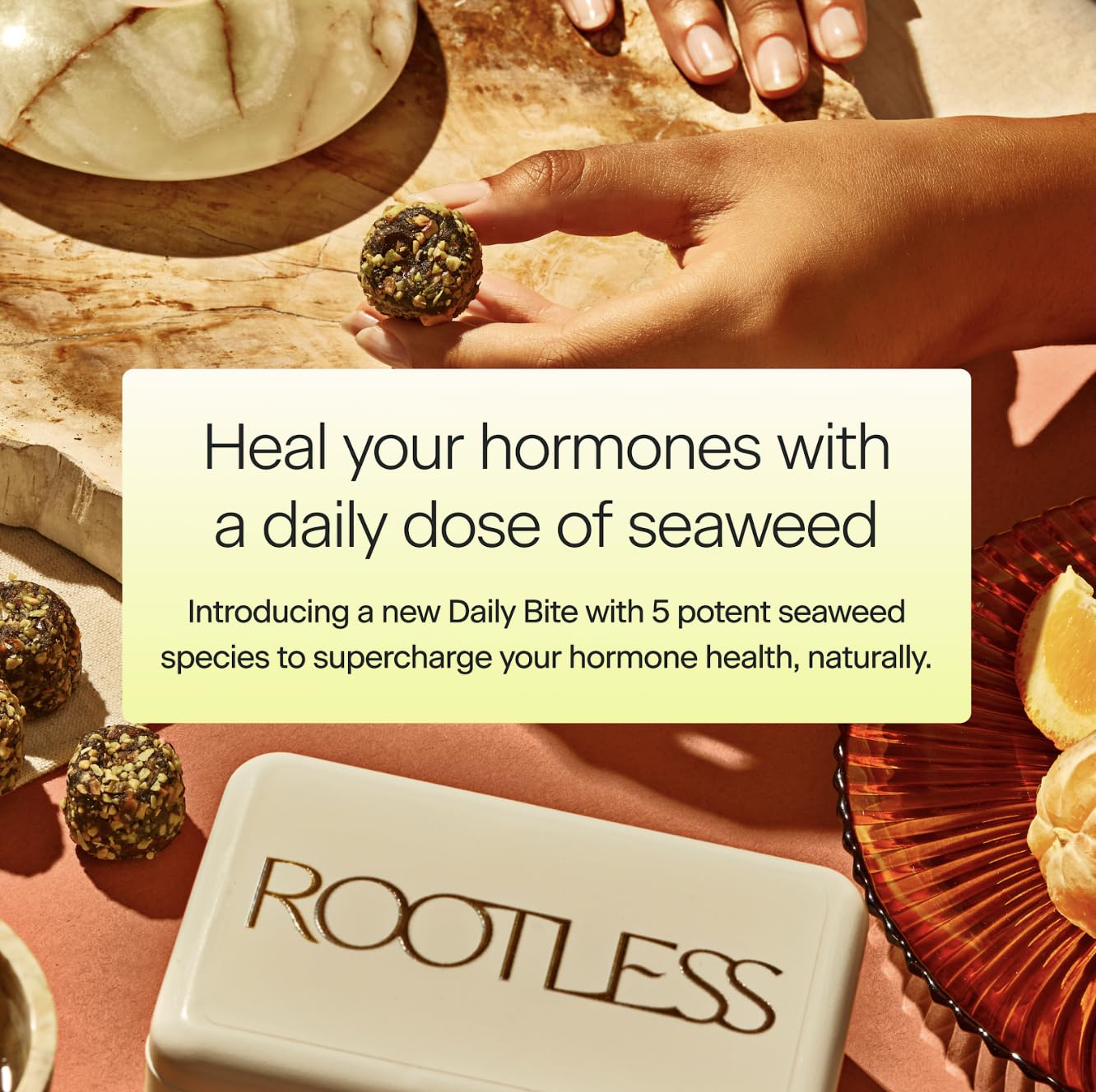 Rootless ingrédients complets algues marines, apport nutritionnel pratique