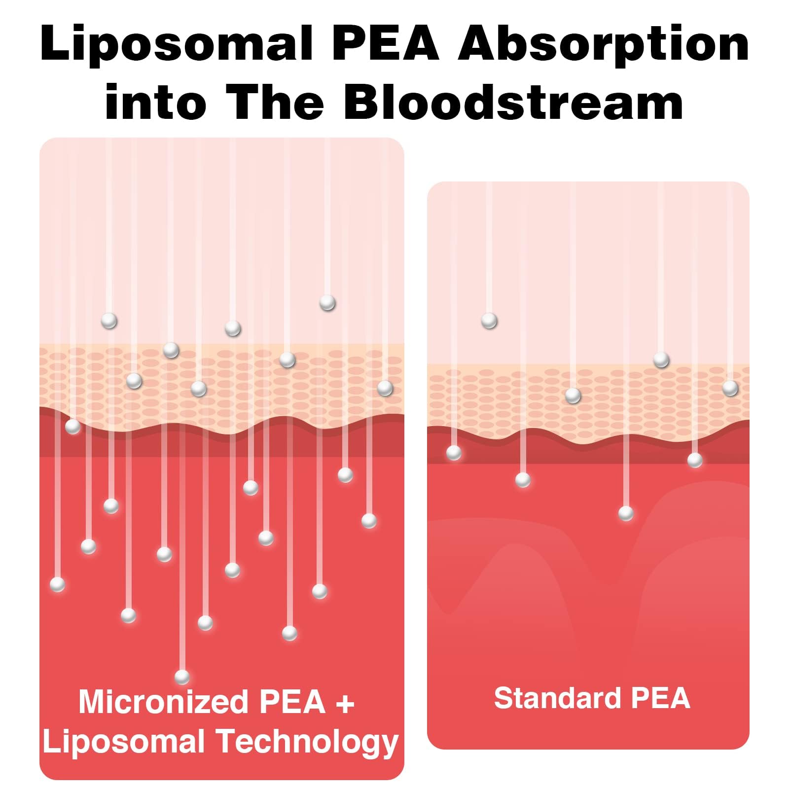 Détail de la composition liposomale Rosmolo et PEA purifiée.
