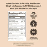 ROUNDHOUSE PROVISION Hydration Punch ingredients affiche les principes actifs et leur rôle