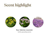 Composition naturelle RutaVaLa Roll-On, soin sensoriel sans compromis.